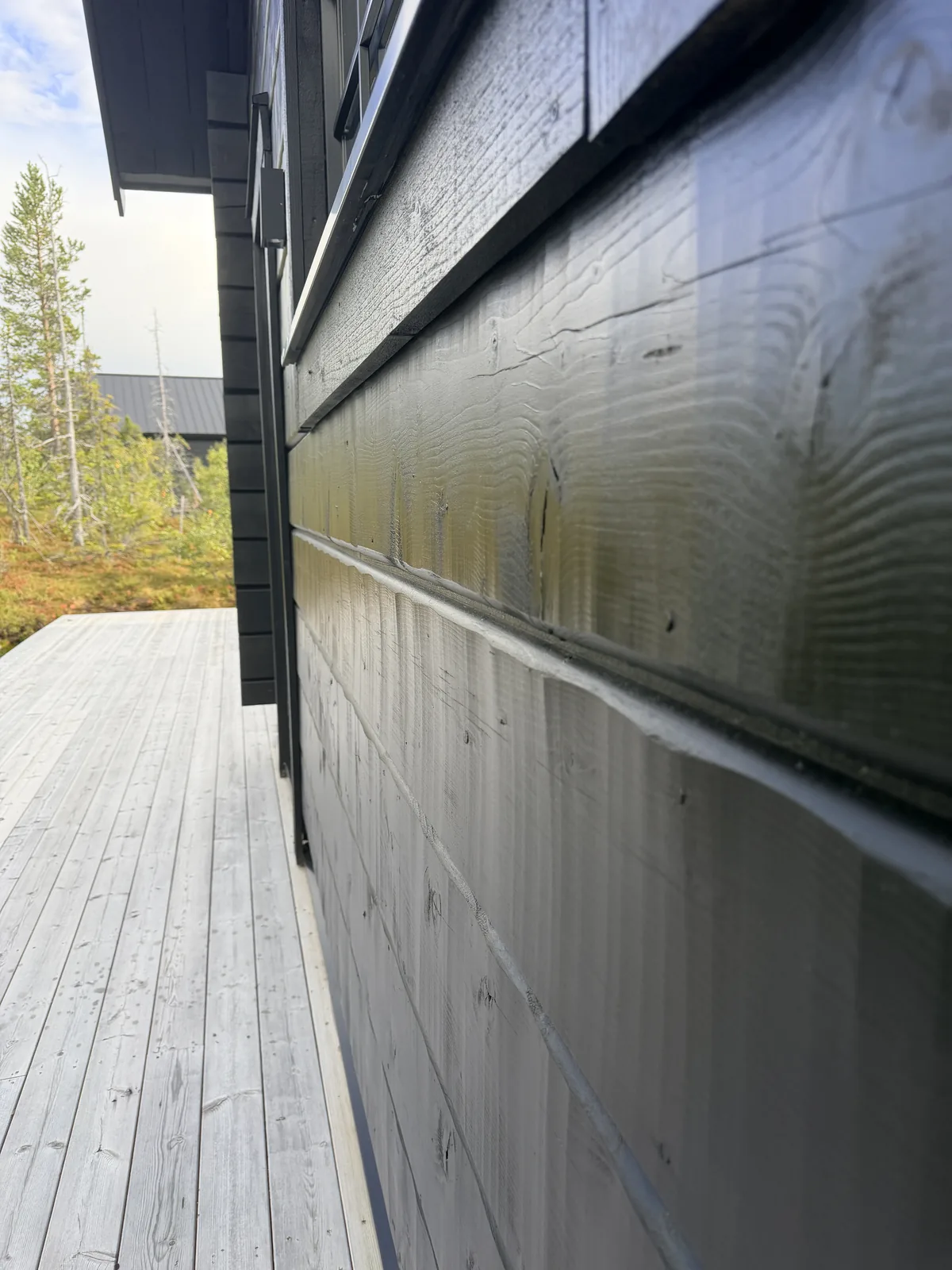 Svartlaserad panelfasad längs en altan i motljus, med barrskog i bakgrunden